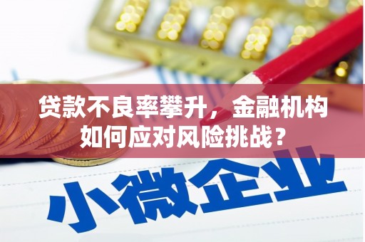 阆中贷款不良率攀升，金融机构如何应对风险挑战？