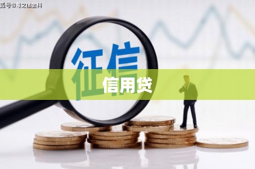 阆中信用贷