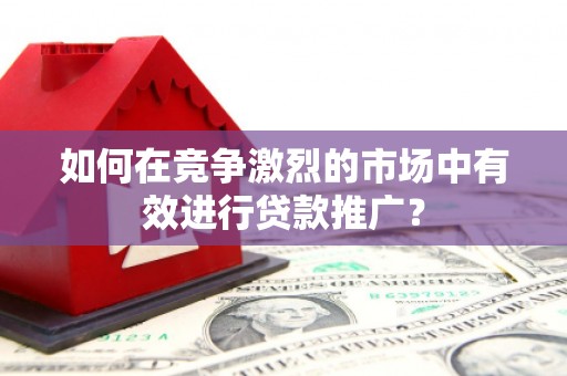 阆中如何在竞争激烈的市场中有效进行贷款推广？