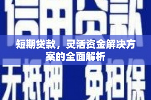 阆中短期贷款，灵活资金解决方案的全面解析