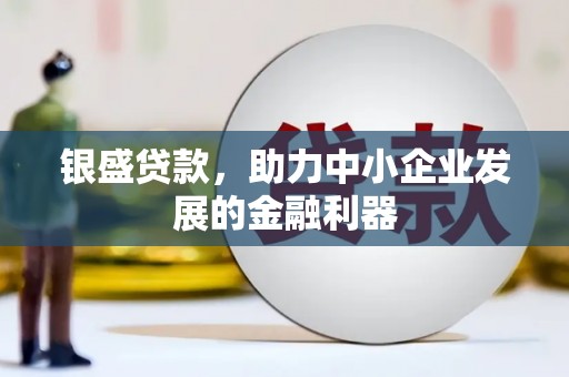 阆中银盛贷款，助力中小企业发展的金融利器