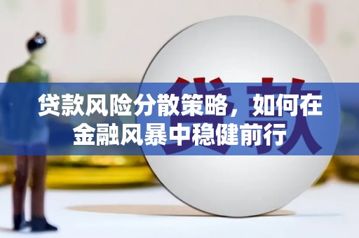 阆中贷款风险分散策略，如何在金融风暴中稳健前行