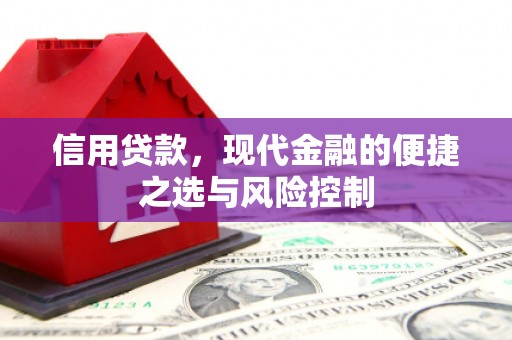 阆中信用贷款，现代金融的便捷之选与风险控制