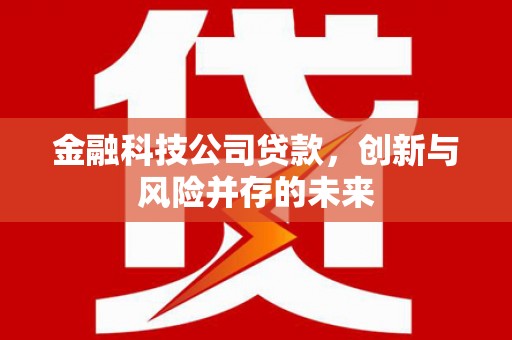 阆中金融科技公司贷款，创新与风险并存的未来