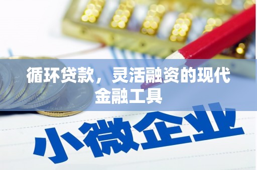 阆中循环贷款，灵活融资的现代金融工具