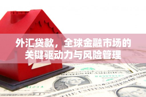 阆中外汇贷款，全球金融市场的关键驱动力与风险管理