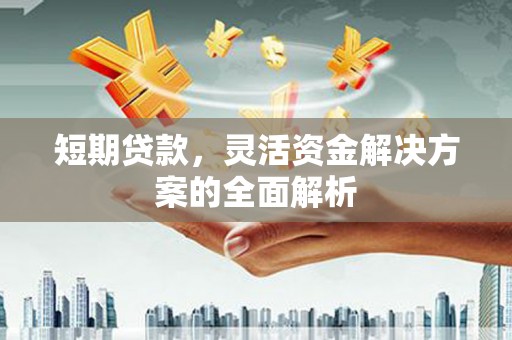 阆中短期贷款，灵活资金解决方案的全面解析