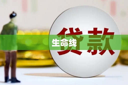 阆中生命线