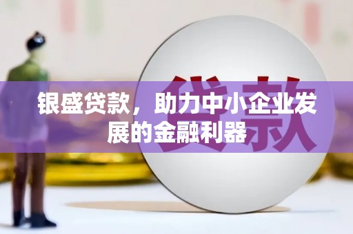 阆中银盛贷款，助力中小企业发展的金融利器