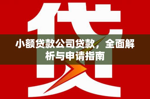 阆中小额贷款公司贷款，全面解析与申请指南