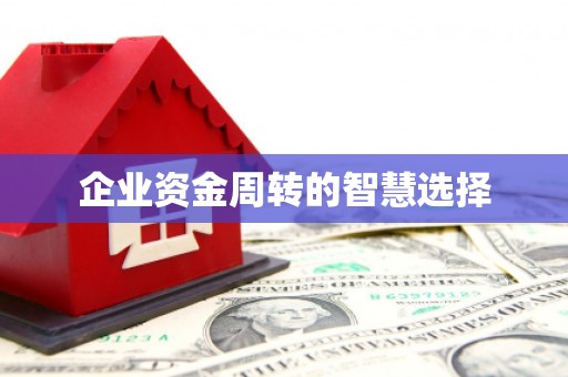 阆中企业资金周转的智慧选择