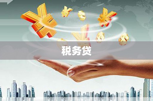 阆中税务贷