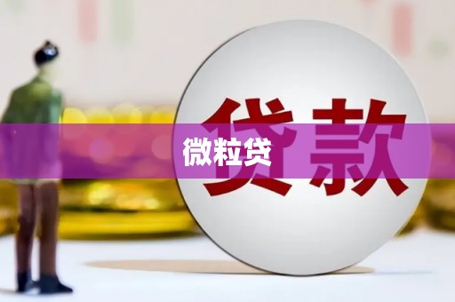阆中微粒贷