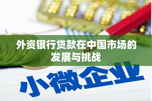 阆中外资银行贷款在中国市场的发展与挑战