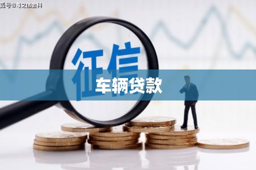 阆中车辆贷款