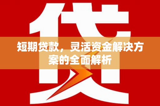 阆中短期贷款，灵活资金解决方案的全面解析