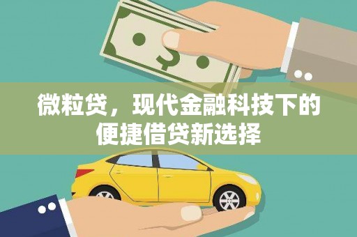阆中微粒贷，现代金融科技下的便捷借贷新选择