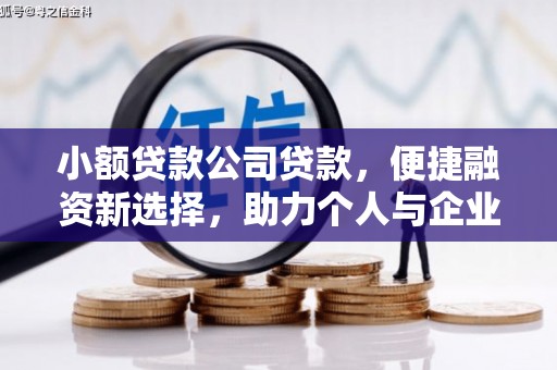 阆中小额贷款公司贷款，便捷融资新选择，助力个人与企业成长