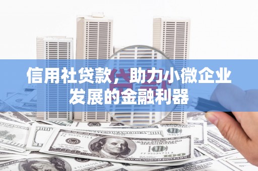 阆中信用社贷款，助力小微企业发展的金融利器