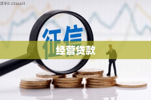 阆中经营贷款
