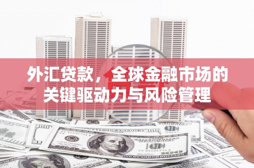阆中外汇贷款，全球金融市场的关键驱动力与风险管理
