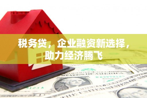 阆中税务贷，企业融资新选择，助力经济腾飞