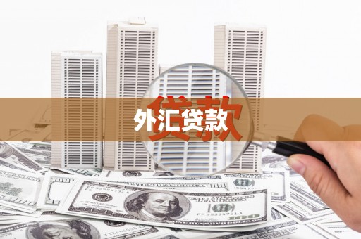 阆中外汇贷款