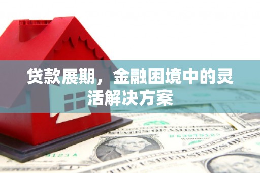 阆中贷款展期，金融困境中的灵活解决方案