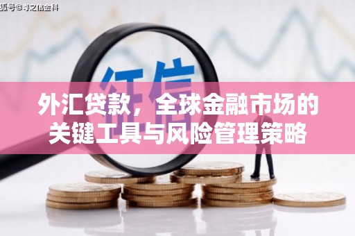 阆中外汇贷款，全球金融市场的关键工具与风险管理策略