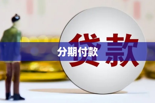 阆中分期付款
