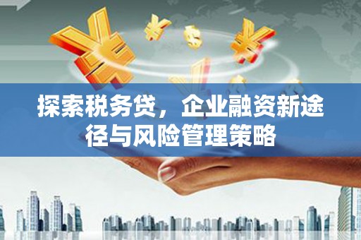阆中探索税务贷，企业融资新途径与风险管理策略