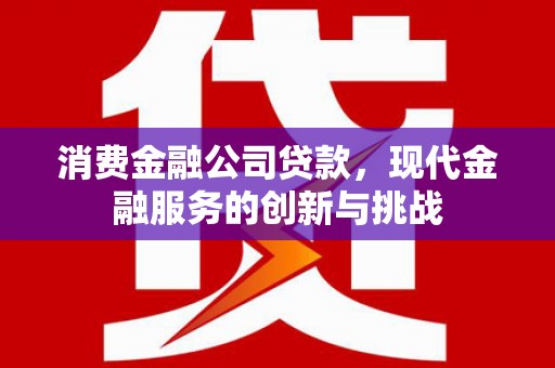 阆中消费金融公司贷款，现代金融服务的创新与挑战