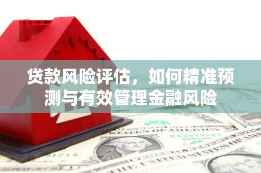 阆中贷款风险评估，如何精准预测与有效管理金融风险