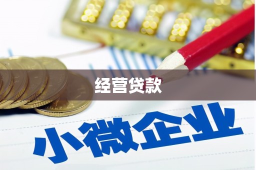 阆中经营贷款