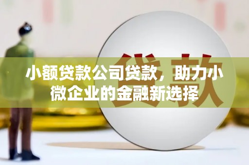 阆中小额贷款公司贷款，助力小微企业的金融新选择