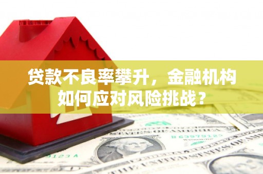 阆中贷款不良率攀升，金融机构如何应对风险挑战？