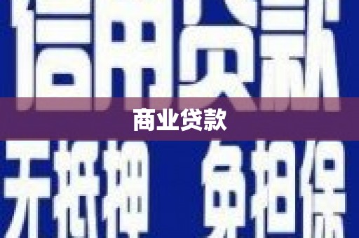 阆中商业贷款