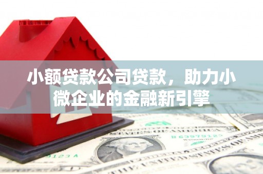 阆中小额贷款公司贷款，助力小微企业的金融新引擎