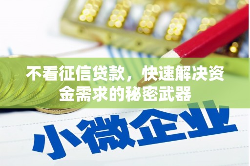 阆中不看征信贷款，快速解决资金需求的秘密武器
