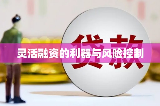 阆中灵活融资的利器与风险控制