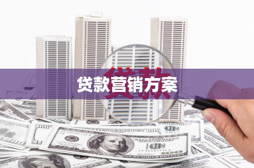 阆中贷款营销方案