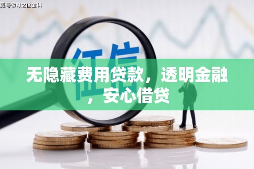 阆中无隐藏费用贷款，透明金融，安心借贷