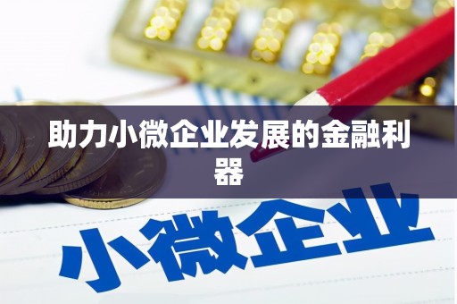 阆中助力小微企业发展的金融利器