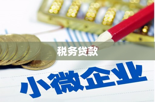 阆中税务贷款