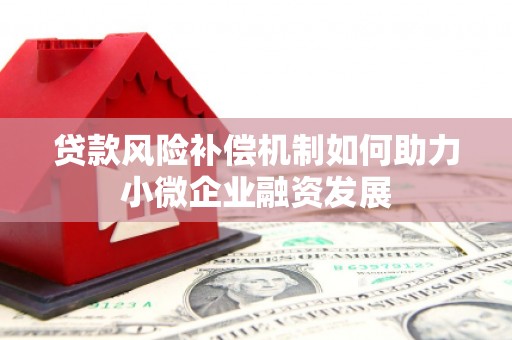 阆中贷款风险补偿机制如何助力小微企业融资发展