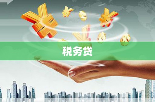 阆中税务贷