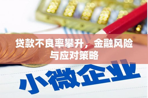 阆中贷款不良率攀升，金融风险与应对策略
