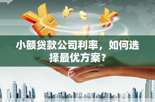 阆中小额贷款公司利率，如何选择最优方案？