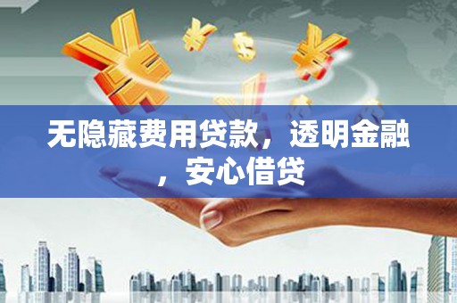 阆中无隐藏费用贷款，透明金融，安心借贷