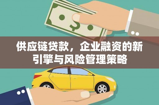 阆中供应链贷款，企业融资的新引擎与风险管理策略
